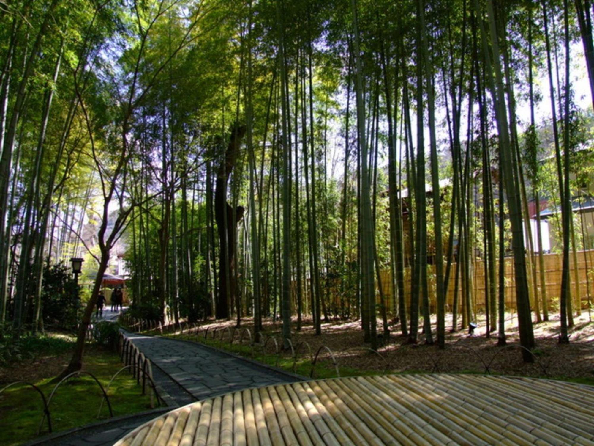 Breezbay Shuzenji Hotel Изу Екстериор снимка